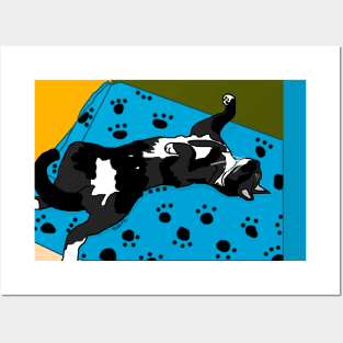 Cute Tuxedo cat laying in a paw print bed Chilling Copyright by TeAnne Posters and Art